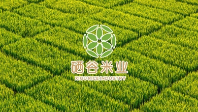大米包装.jpg